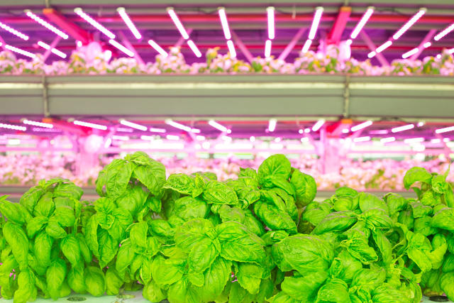via http://www.fastcoexist.com/3059721/world-changing-ideas/why-chicago-is-becoming-the-countrys-urban-farming-capital