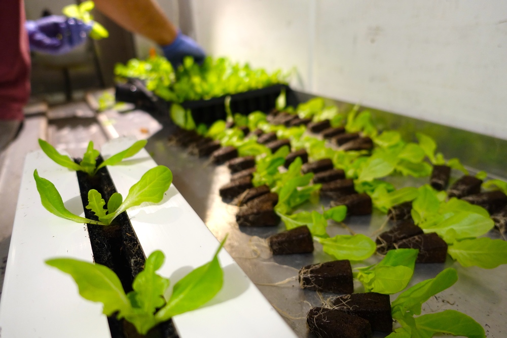 via http://www.freightfarms.com/blog/an-intro-to-hydroponics-9-benefits-of-growing-without-soil?utm_content=32601529